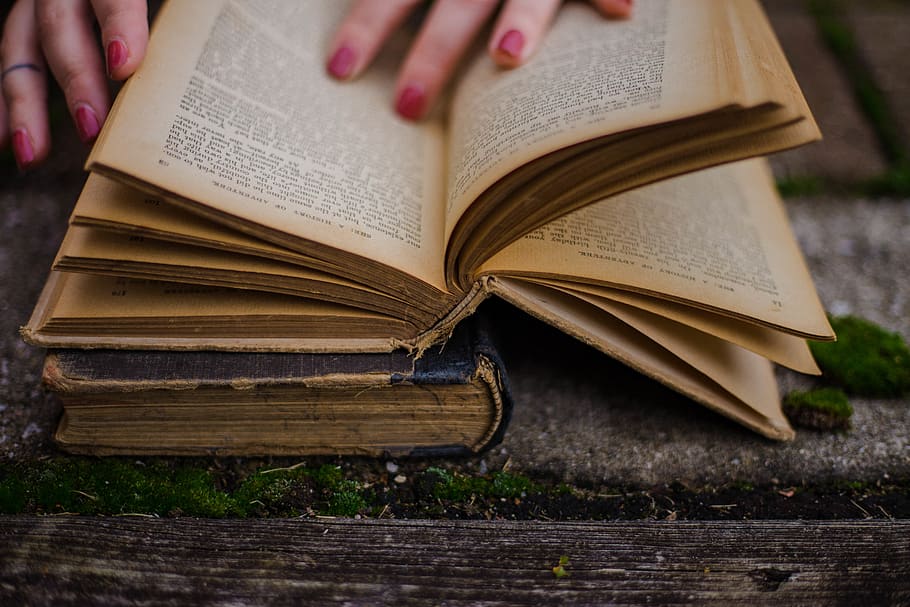 person reading book, publication, human hand, education, page HD wallpaper