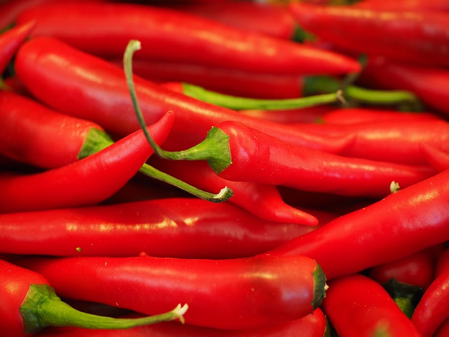 Red Chili Pepper, chili peppers, chilli pepper, food, raw, spice, HD wallpaper