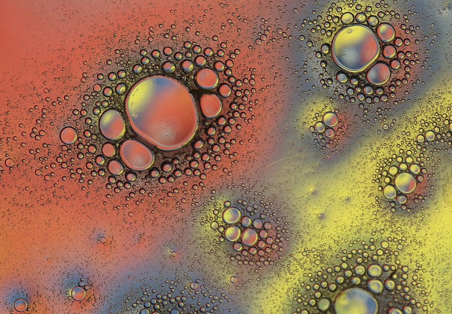 drops, macro, water, liquid, coloring, reflection, bubble, no people HD wallpaper
