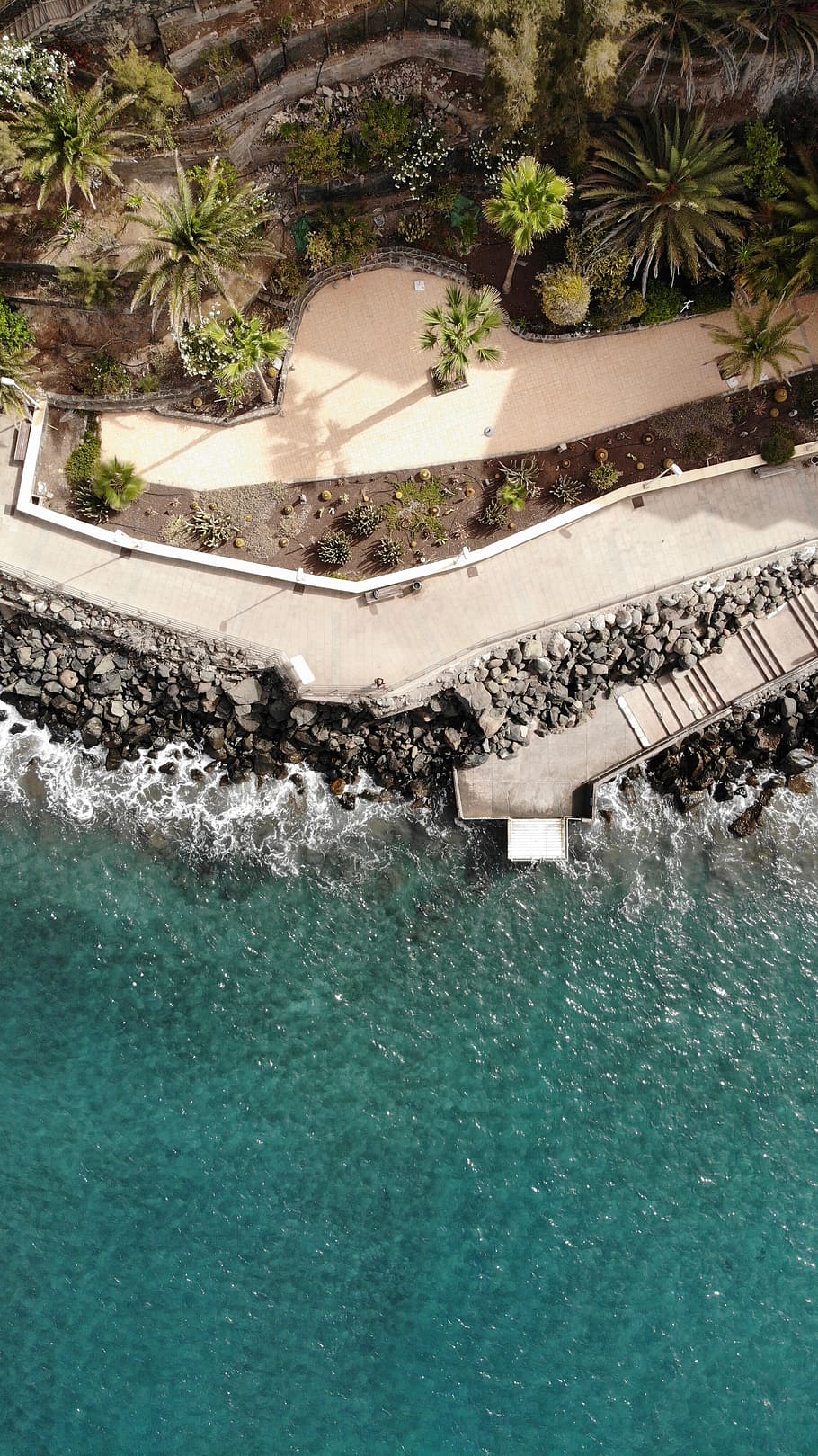 aerial view photography of beach, tree, palm, coast, shore, rock HD wallpaper