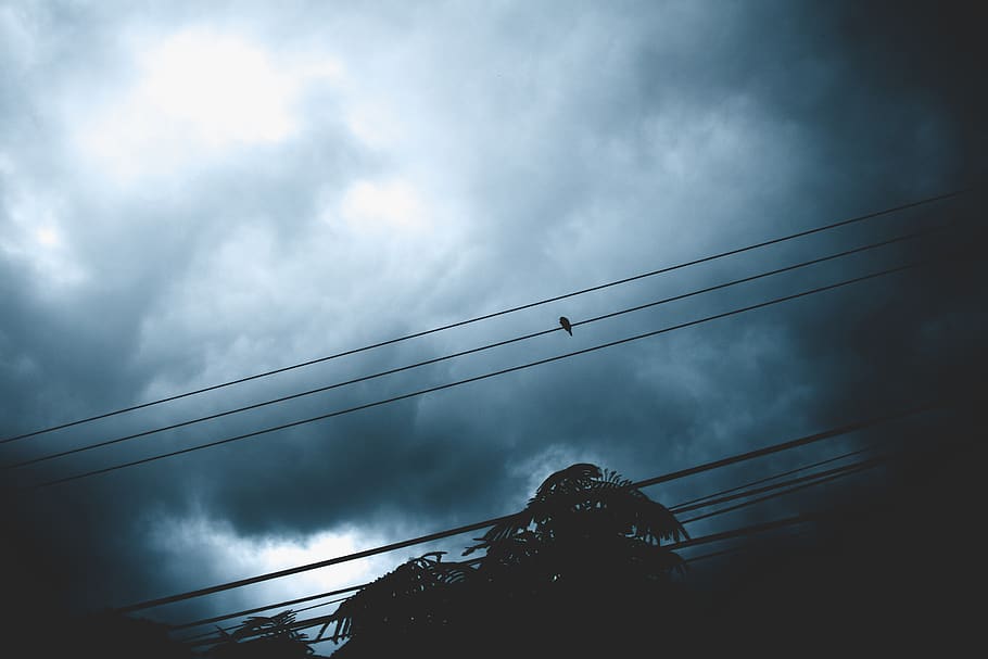 A heavily clouded sky at night., storm, clouds, dark, cold, birds HD wallpaper