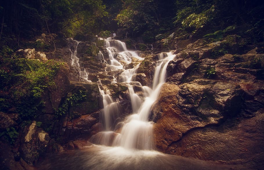 Scenic View of Waterfall, cascade, forest, jungle, landscape HD wallpaper