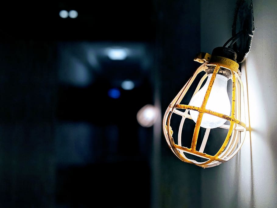 Light Bulb, hanging, illuminated, focus on foreground, no people HD wallpaper