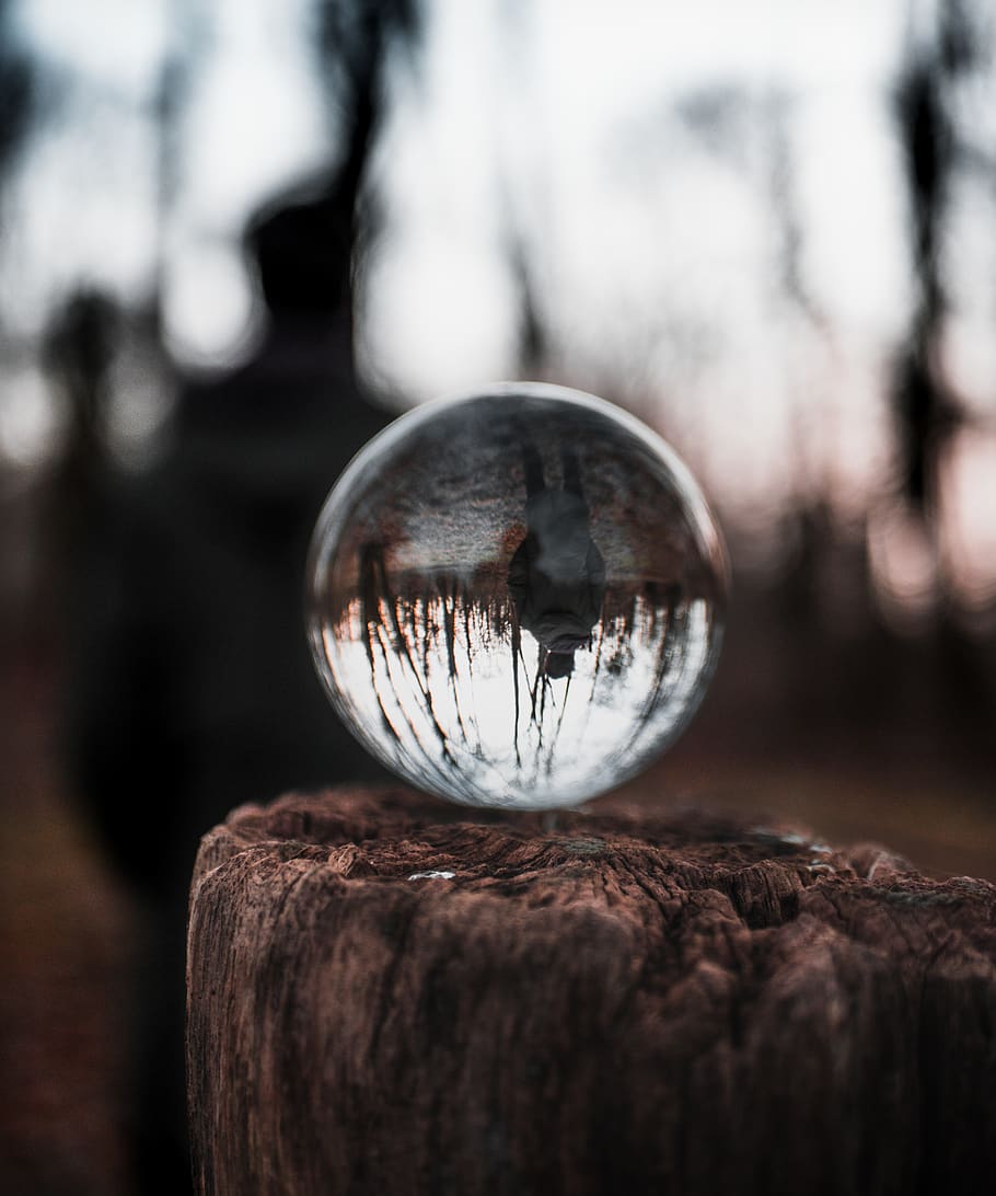 germany, hülseburg, reflection, human, glass, wood, forest HD wallpaper