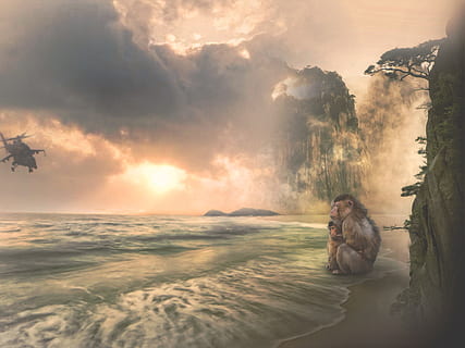 monkey, beach, monkey baby, helicopter, sea, mountains, sunset HD wallpaper
