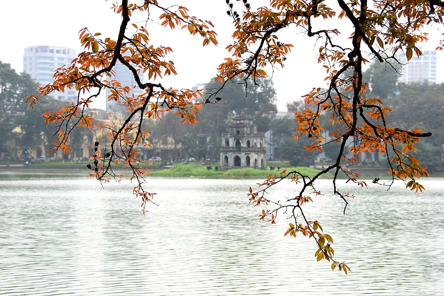 ha noi, city, vietnam, lake, red leaves, spring, bang lang, HD wallpaper