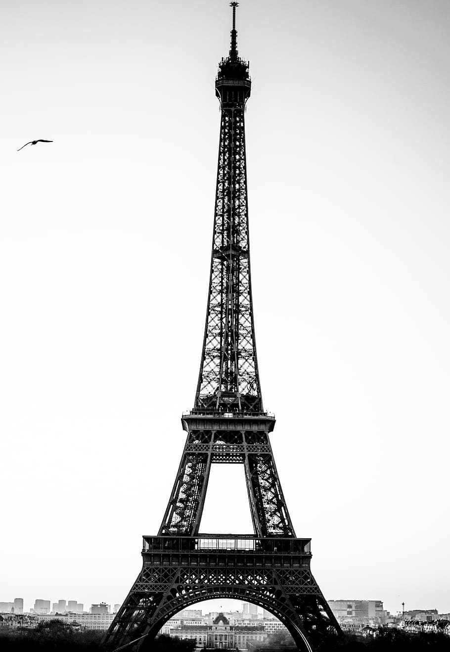 building, tower, architecture, bird, animal, steeple, spire HD wallpaper