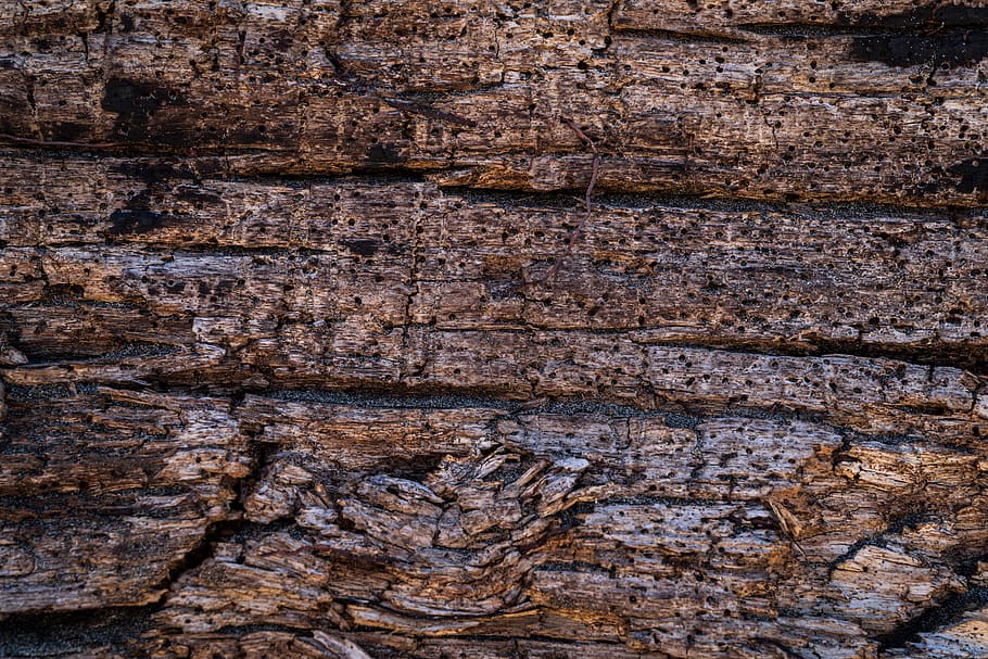 brown wooden board, full frame, backgrounds, pattern, textured HD wallpaper