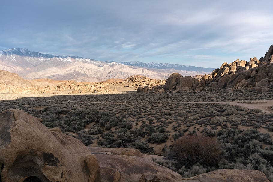 trees, desert, hill, rocks, stones, travel, nature, wild, wild life HD wallpaper