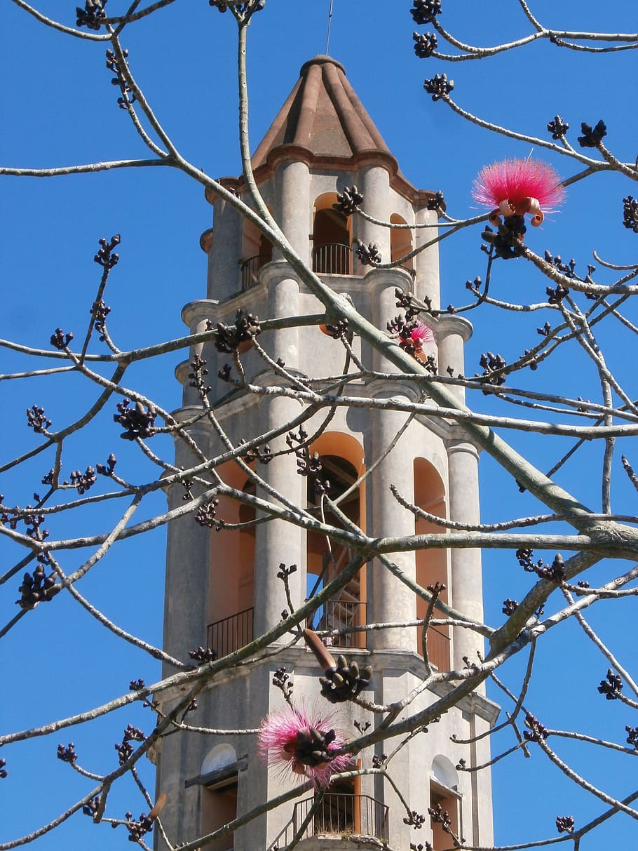 torre de iznaga, cuba, tower, flowers, trinidad, observation tower, HD wallpaper