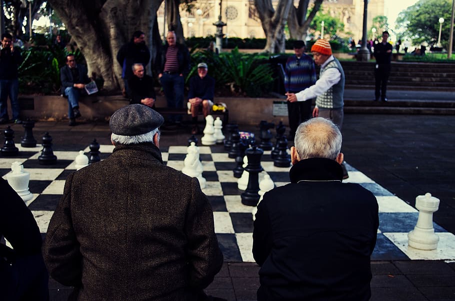 game, chess, watch, park, challenge, play, white, black, thinking HD wallpaper