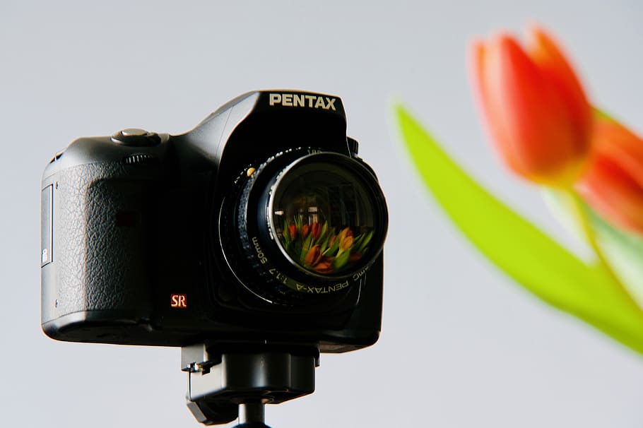black Pentax DSLR camera, photography themes, technology, camera - photographic equipment HD wallpaper