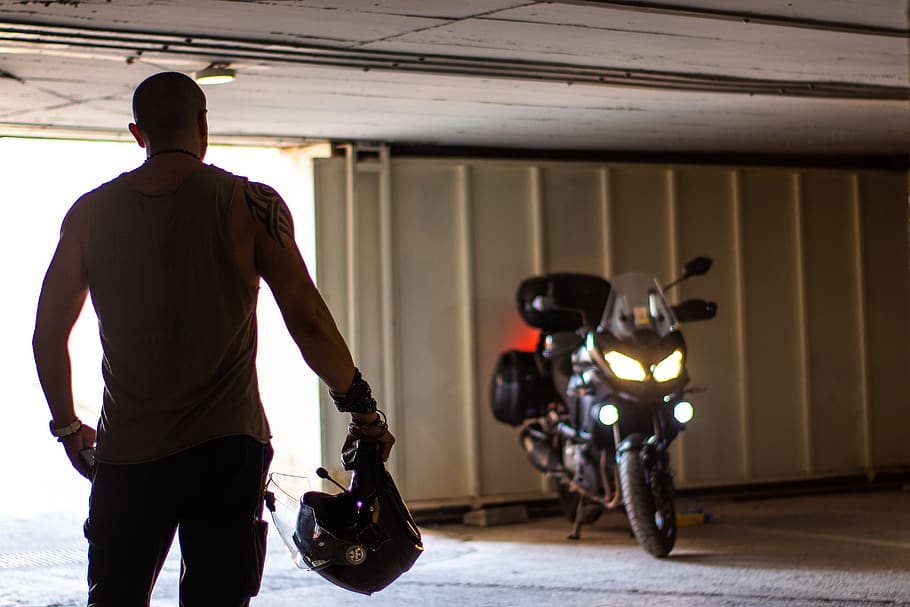motorbikes, tattoo, man, one person, transportation, rear view HD wallpaper