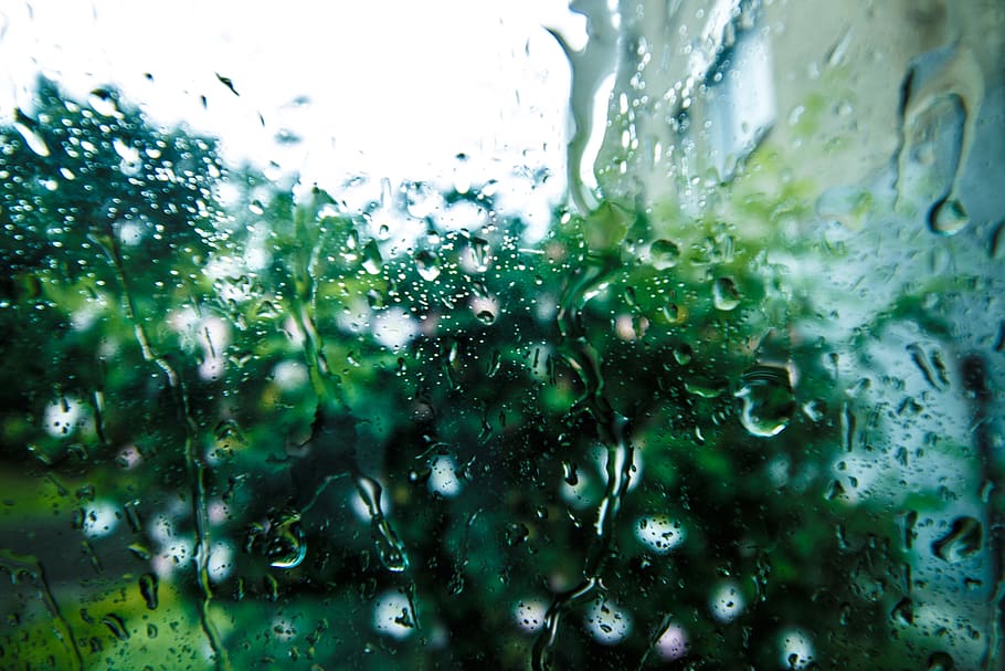 Rain Drops on Glass Surface during Daytime, macro, raindrops HD wallpaper