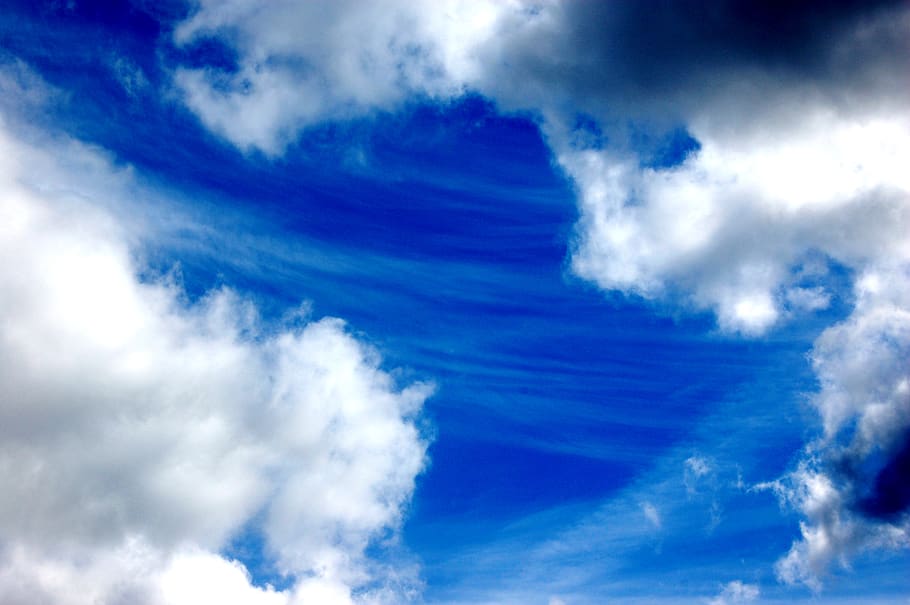 blue, white, clouds, sky, cloud - sky, cloudscape, overcast HD wallpaper