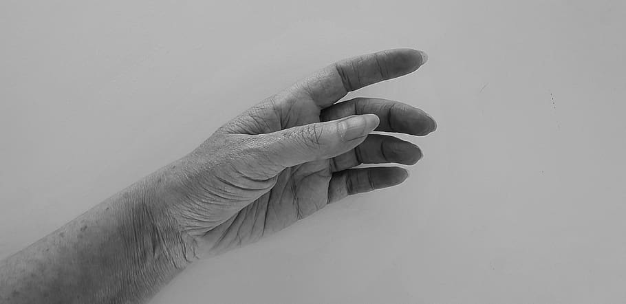 left human hand, human body part, finger, human finger, one person HD wallpaper