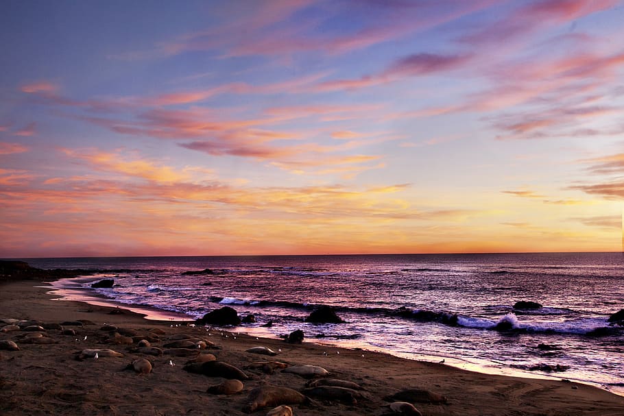 beach, sunset, warm, walrus, sea, water, sky, land, scenics - nature, HD wallpaper