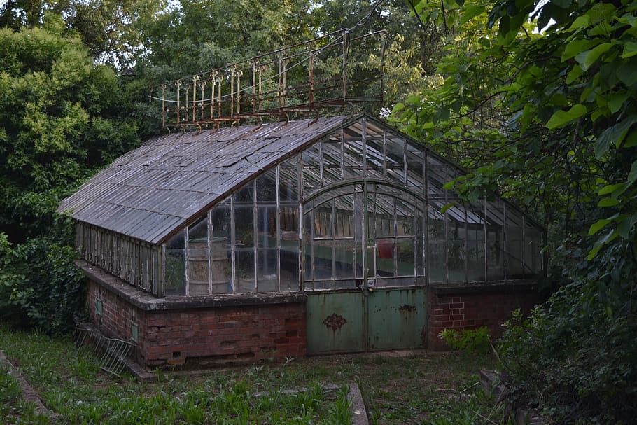 A garden building surrounded by trees., old, plant, built structure HD wallpaper