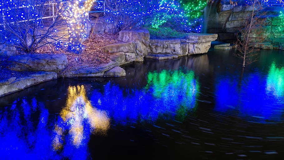 mirror, light, water, lake, river, nature, reflection, tree HD wallpaper