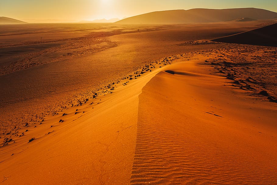 seashore during sunset, desert, nature, outdoors, soil, namibia HD wallpaper