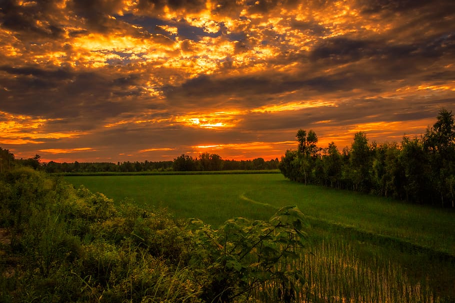 india, saharanpur, sky, sunset, cloud - sky, beauty in nature HD wallpaper
