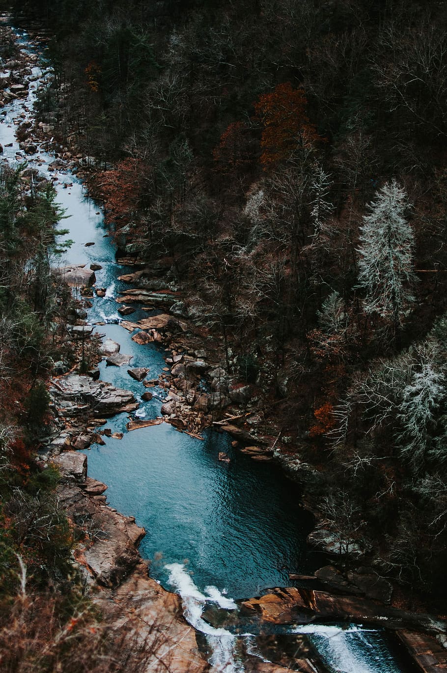 nature, water, river, rock, trees, green, plant, leaves, travel HD wallpaper