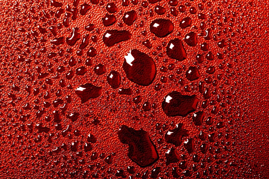 close-up, closeup, drops, droplets, environment, liquid, red, HD wallpaper