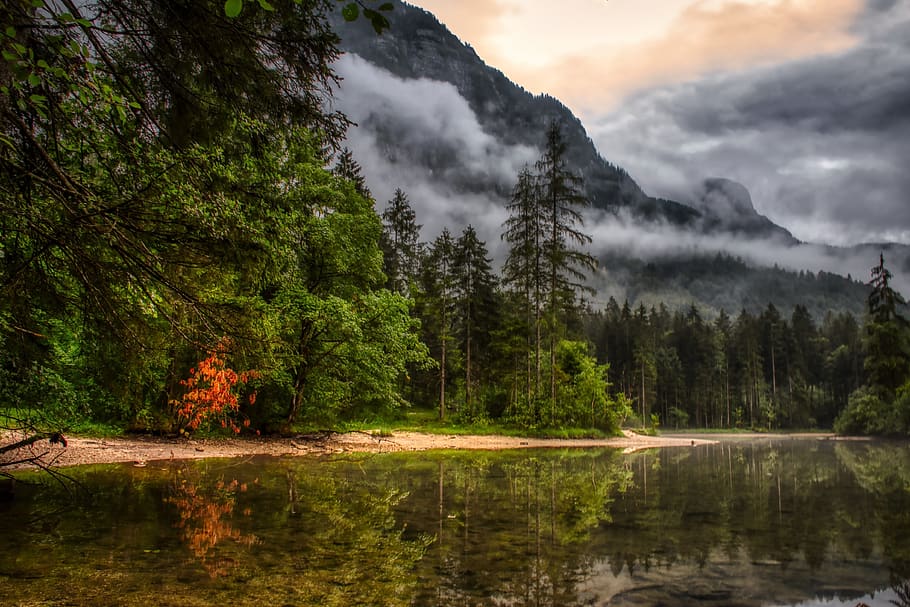 forest, clouds, nature, water, mood, tree, beauty in nature HD wallpaper