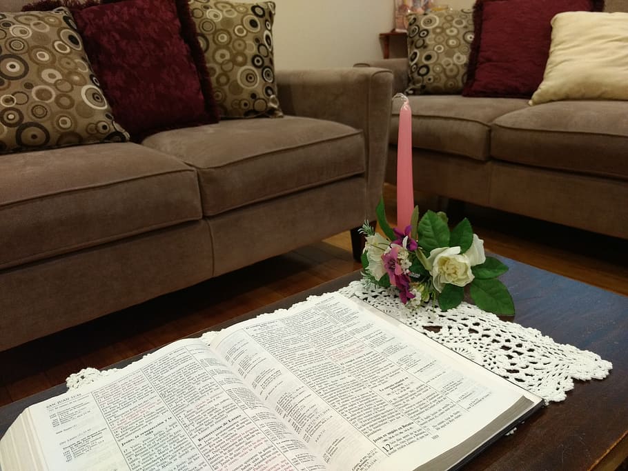 furniture, sofa, publication, book, indoors, home interior HD wallpaper