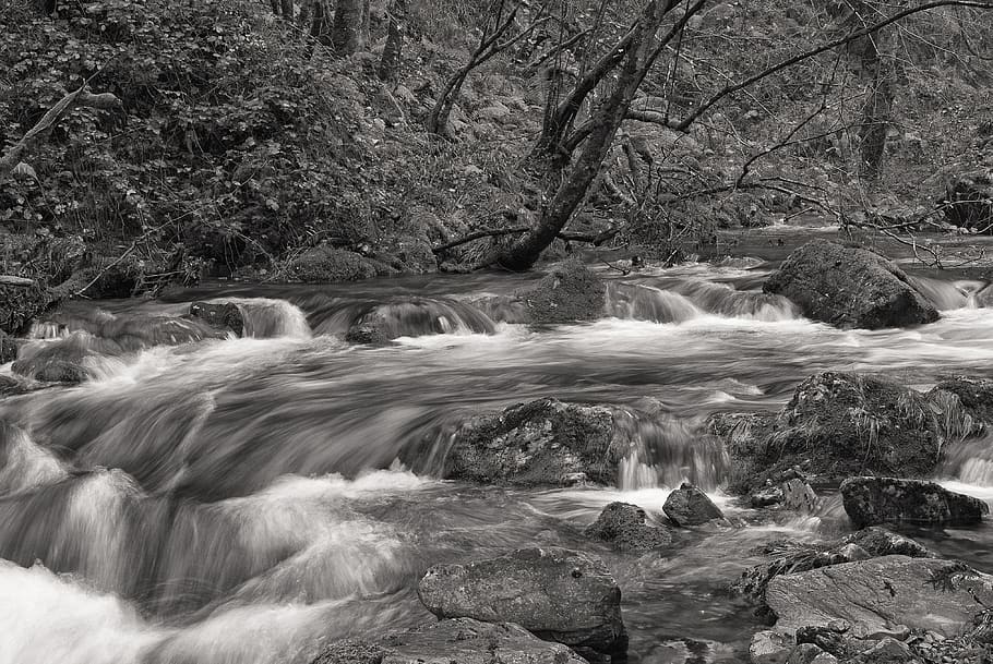 trees, river, rocks, landscape, long exposure, flowing water HD wallpaper