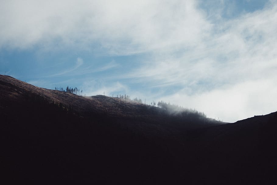 clouds, mountain, trees, fog, hills, nationalpark niedere tatra HD wallpaper