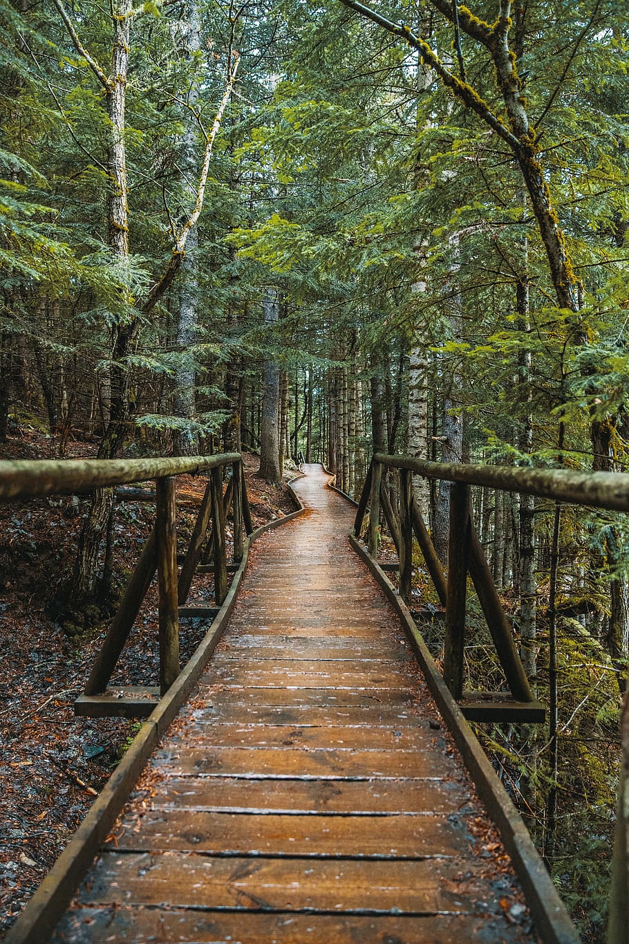 building, boardwalk, bridge, staircase, path, water, trail HD wallpaper