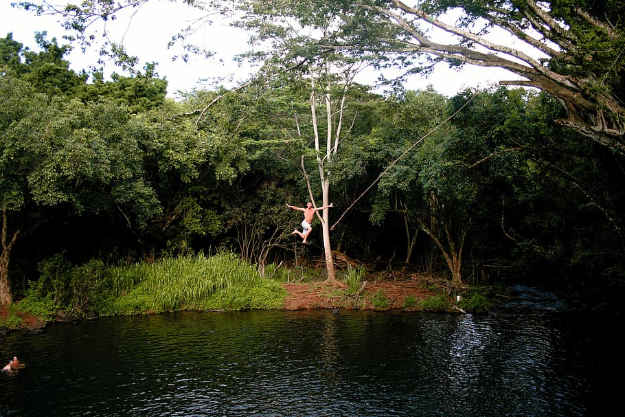 HD wallpaper: kauai, united states, rope swing, trees, lake