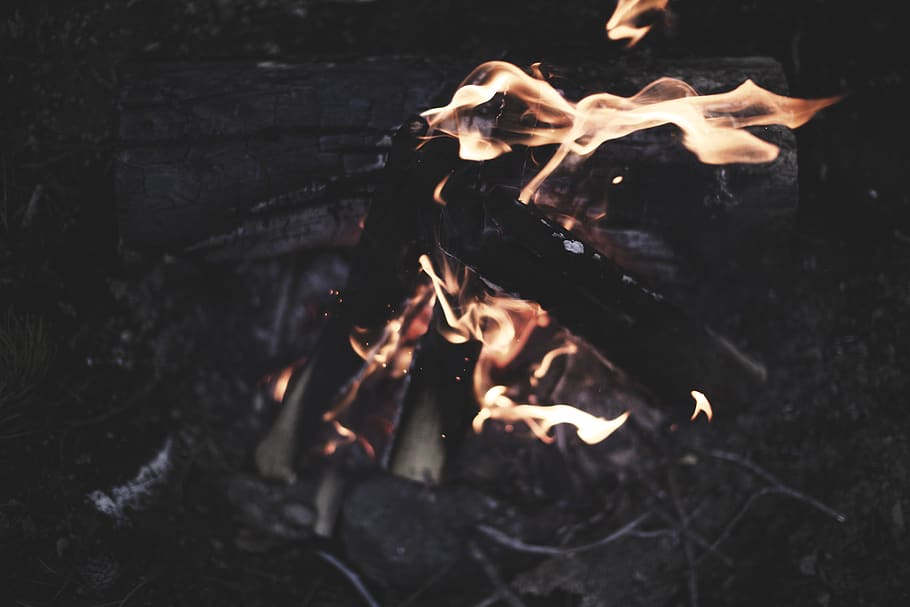 burning wood, fire, flame, bonfire, human, person, forge, coal, HD wallpaper