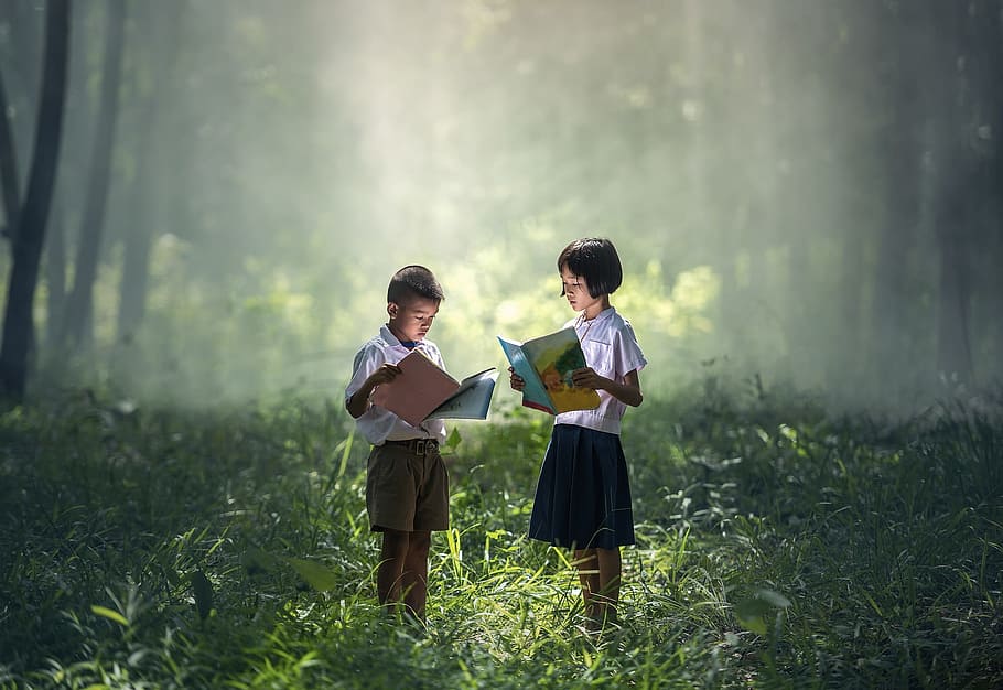 wild, read, book, kid, child, human, activity, jungle, land HD wallpaper