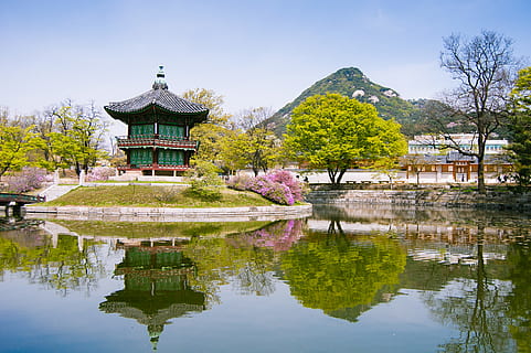 seoul, south korea, gyeongbokgung palace, travel, traditional HD wallpaper
