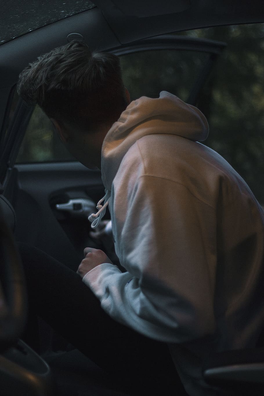 wilderness, green, tree, cold, autumn, white, cardoor, hoodie HD wallpaper