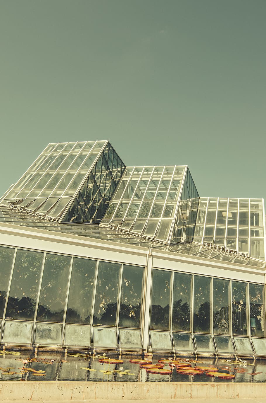 glass building under gray sky, saint paul, united states, greenhouse HD wallpaper