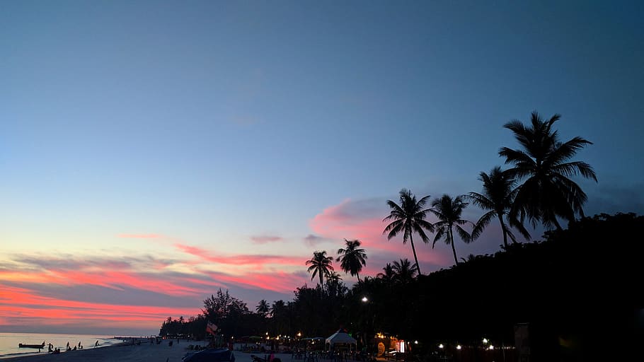 malaysia, langkawi, tree, sky, plant, palm tree, sunset, tropical climate HD wallpaper