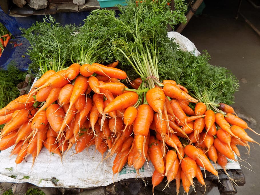india, munnar, fresh, natural, healthy, carrot, orange, raw HD wallpaper