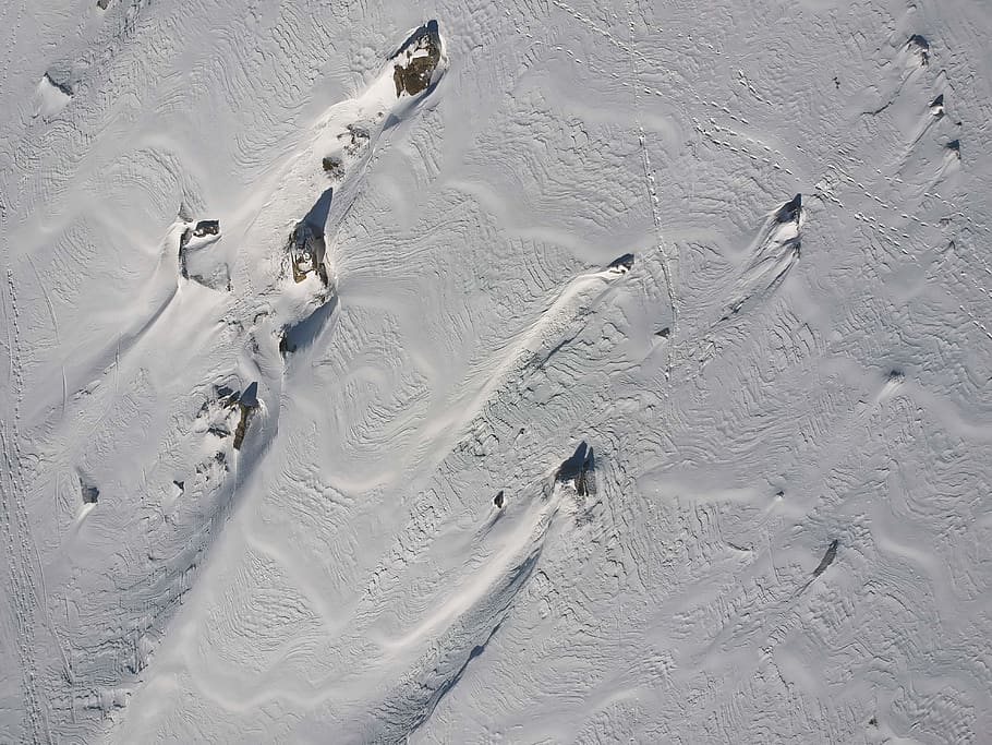 marks on snow, cold temperature, winter, white color, high angle view HD wallpaper