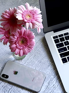 Silver Iphone X, apple, bloom, blooming, bright, close-up, colors HD wallpaper