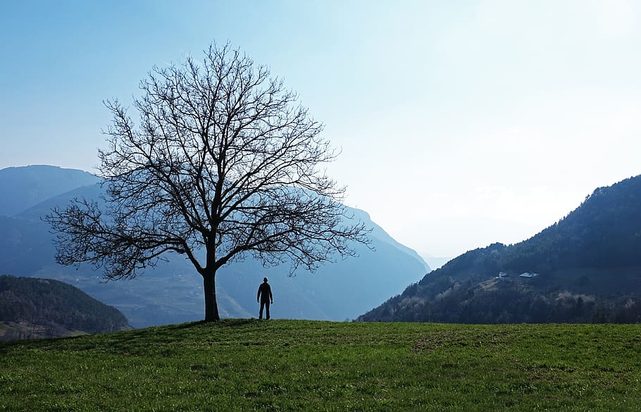 landscape, tree, man, nature, outdoors, forest, scenic, calm HD wallpaper