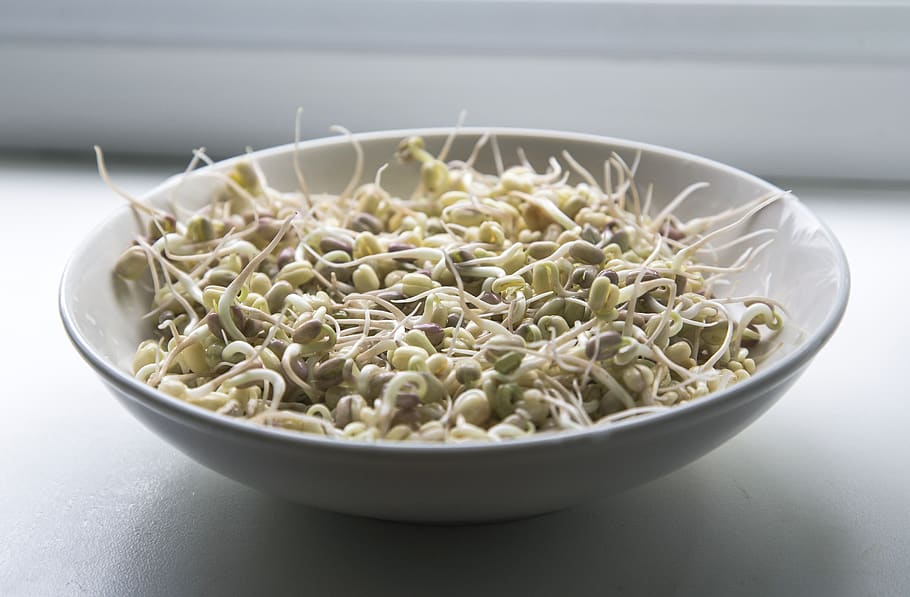 kitchen, sprouts, mungo, white, bowl, asian, beans, superfood HD wallpaper