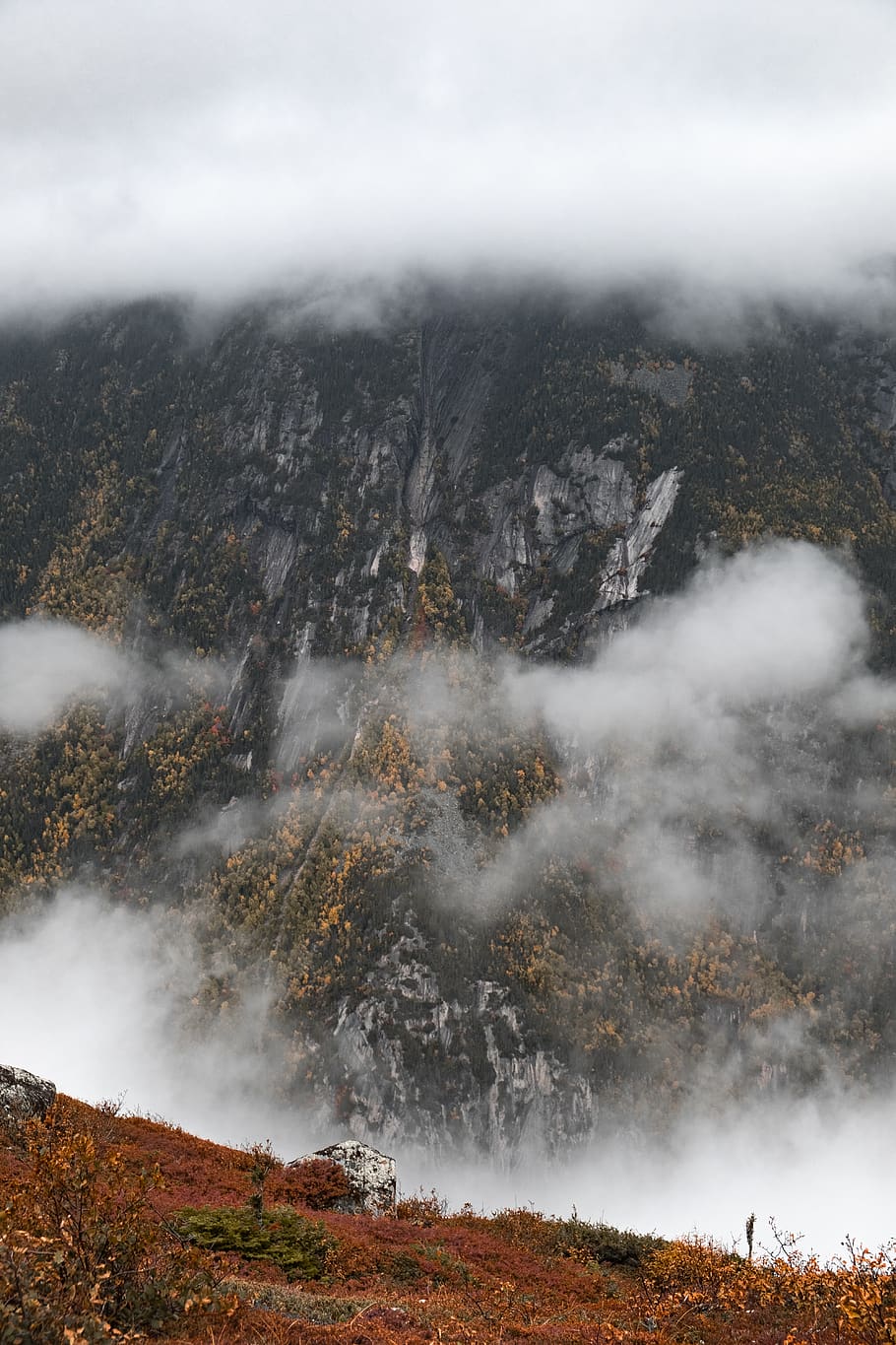 white clouds near mountain, nature, outdoors, weather, plant HD wallpaper