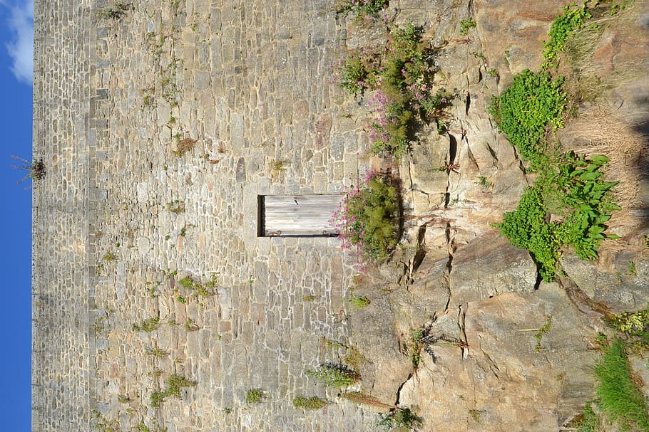 france, dinan, grass, old door, wall, rocks, plant, architecture, HD wallpaper