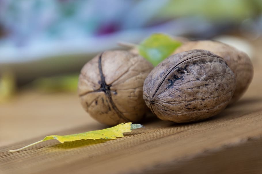 walnut, walnuts, dried fruit, eat, food, leaves, composition HD wallpaper