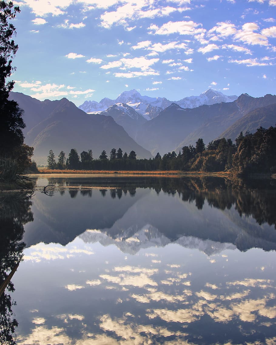 new zealand, lake matheson, water, trees, forest, reflection