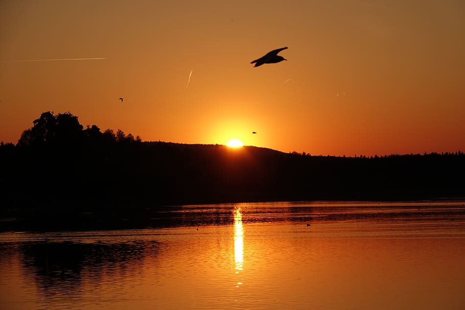 upper lake, upper palatinate, atmosphere, sunset, romantic HD wallpaper