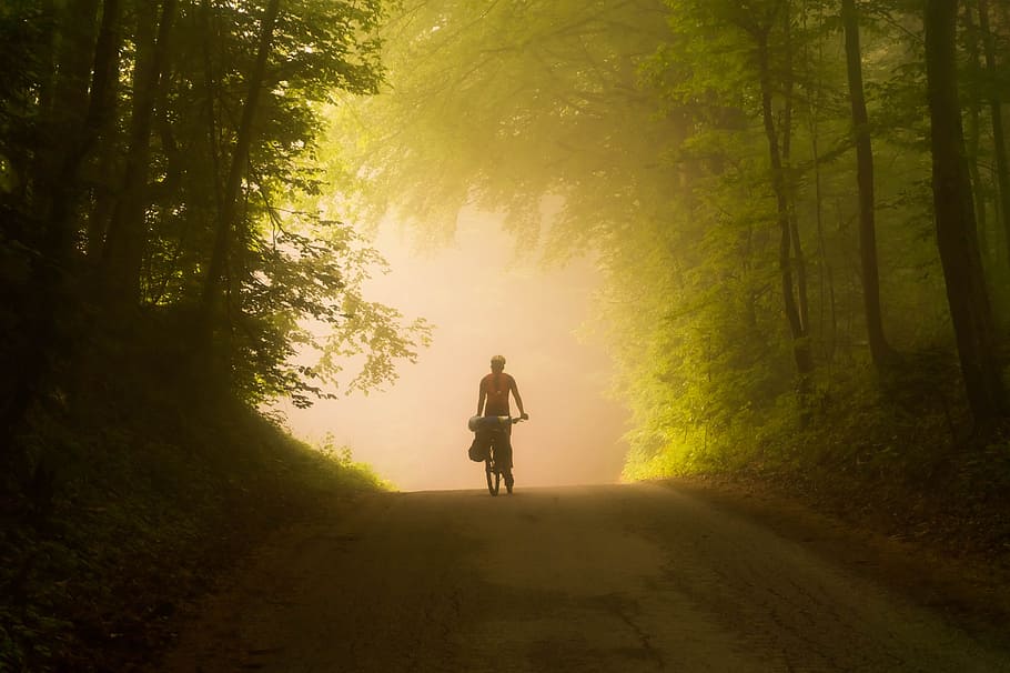 Person Riding Bicycle, adventure, backlit, cyclist, dawn, daylight HD wallpaper